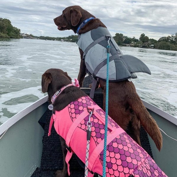 Mermaid Dog Life Jacket